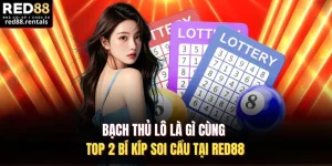 Bạch Thủ Lô Là Gì Cùng Top 2 Bí Kíp Soi Cầu Tại Red88